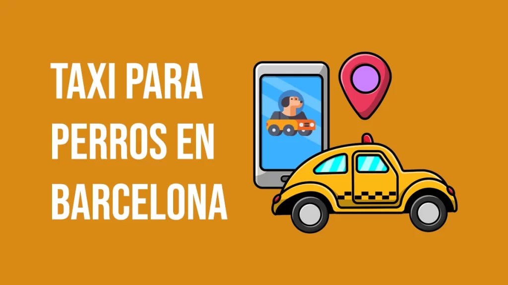 taxis que aceptan perros en barcelona